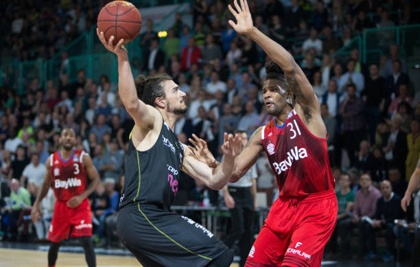 年轻的组织 年轻的组织