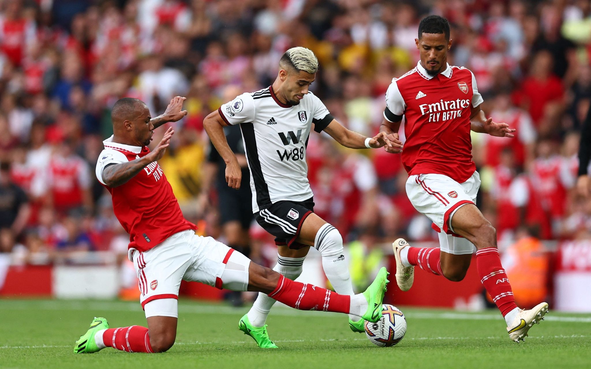 仁对穆西亚 仁对穆西亚